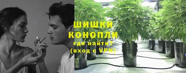 ALPHA PVP Богородицк